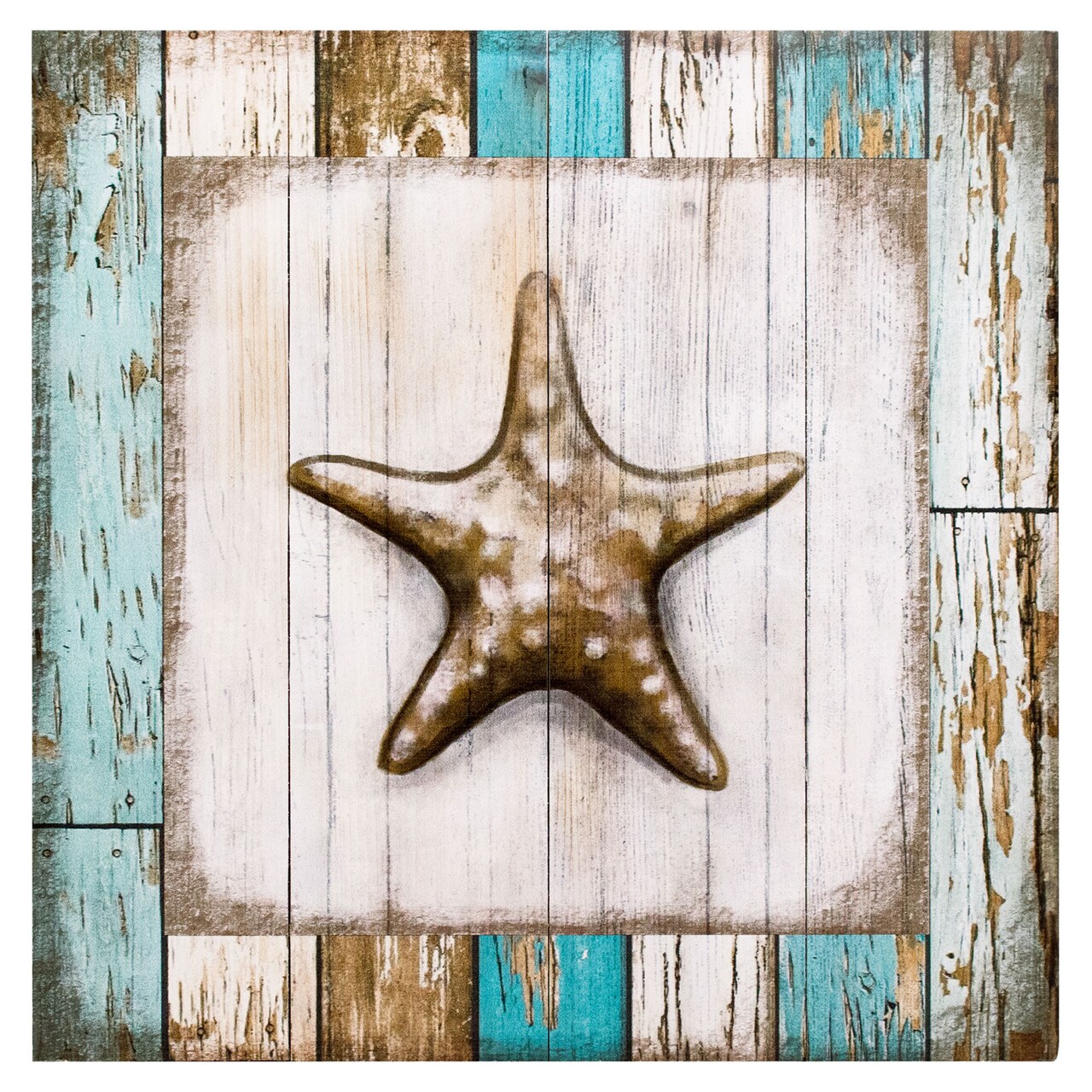 Starfish on Beach by Elizabeth Tyndall Wood Wall Art 12" x 12"